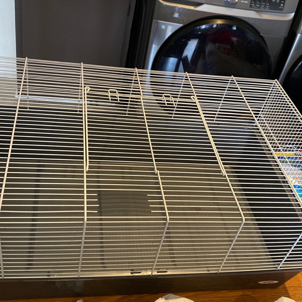small rodent cage